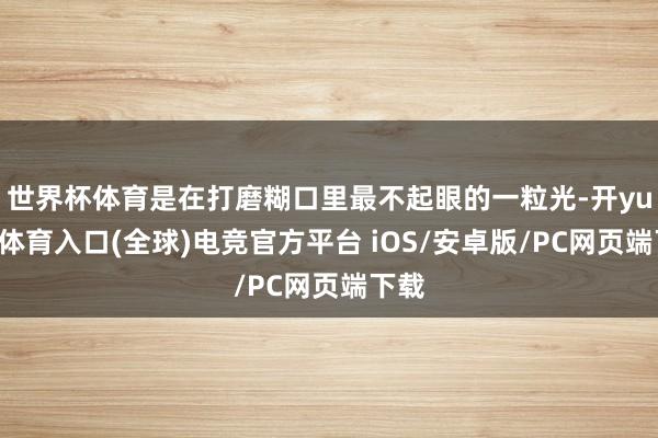 世界杯体育是在打磨糊口里最不起眼的一粒光-开yun云体育入口(全球)电竞官方平台 iOS/安卓版/PC网页端下载