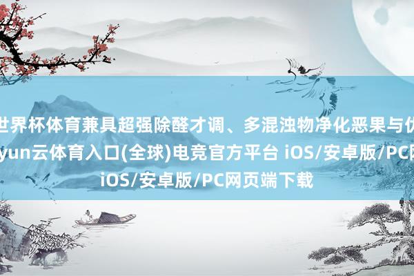 世界杯体育兼具超强除醛才调、多混浊物净化恶果与优质品控-开yun云体育入口(全球)电竞官方平台 iOS/安卓版/PC网页端下载